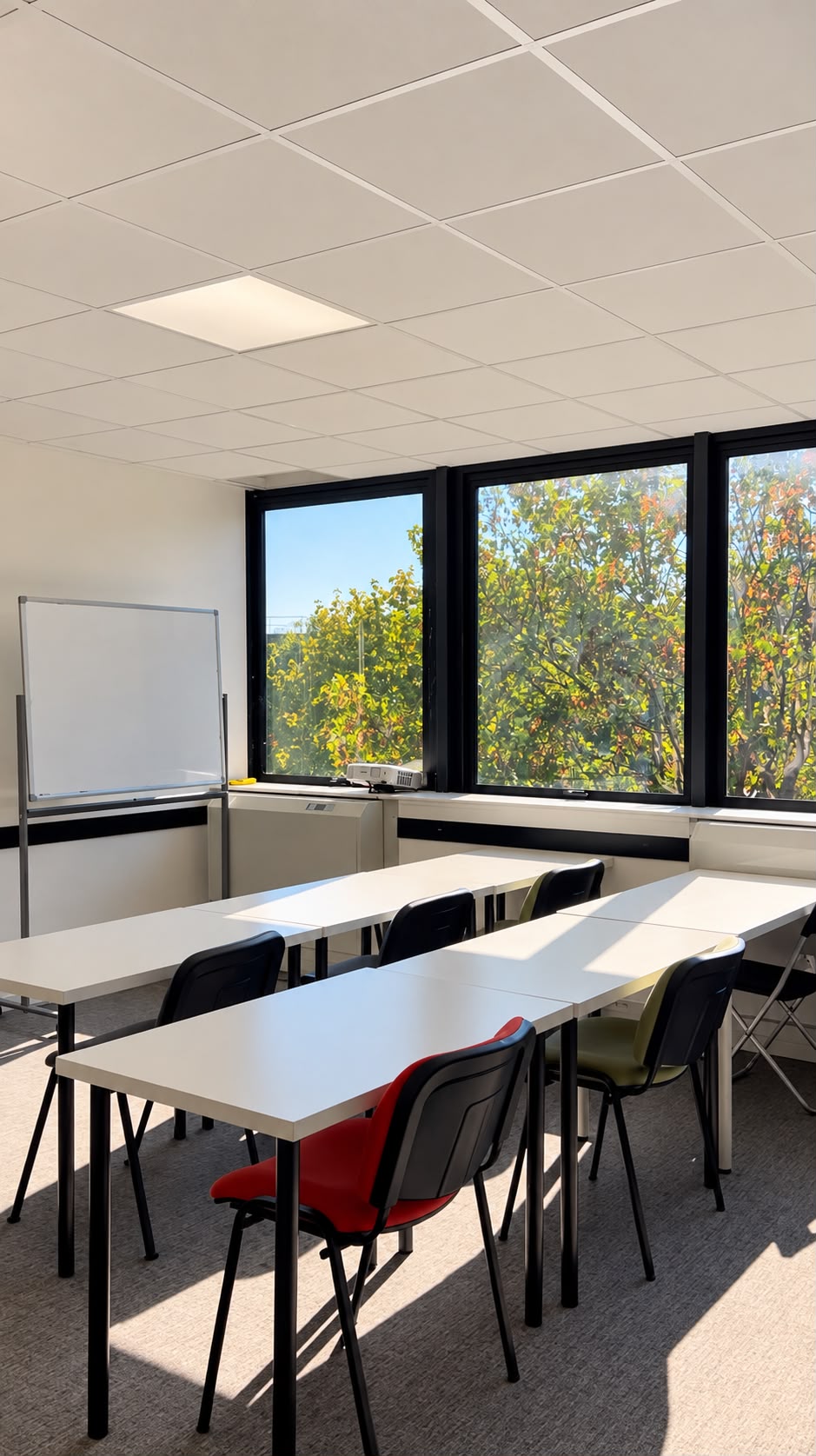 Réglementation VTC 2026 : Ce qui change pour les chauffeurs
